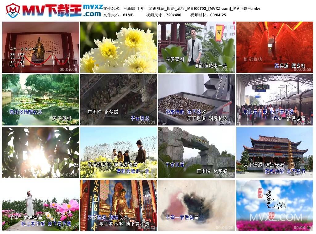 王新鹏-千年一梦谯城留_国语_流行_ME100702